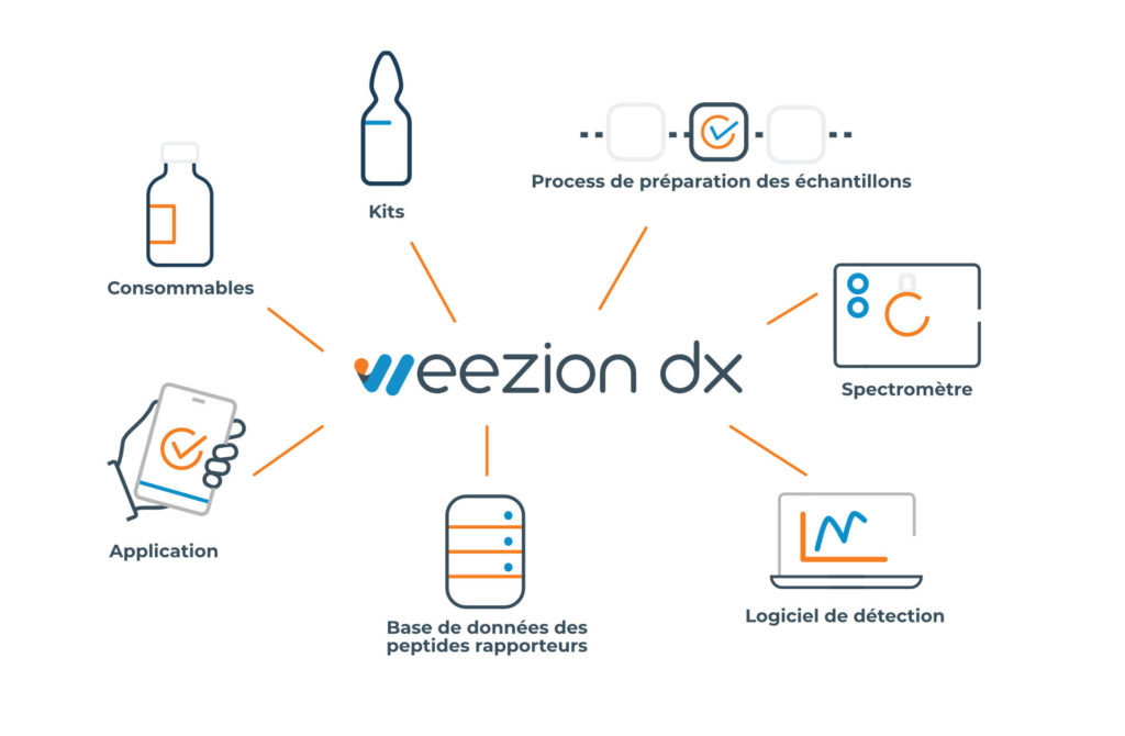 schema weezion français